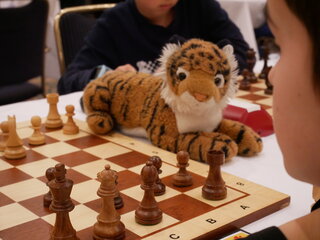 [Photo] Tiger