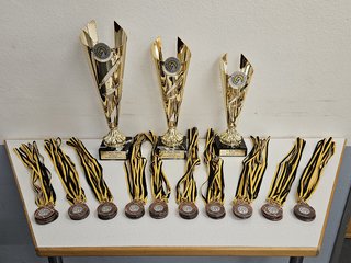 [Photo] 31 Pokale Medaillen