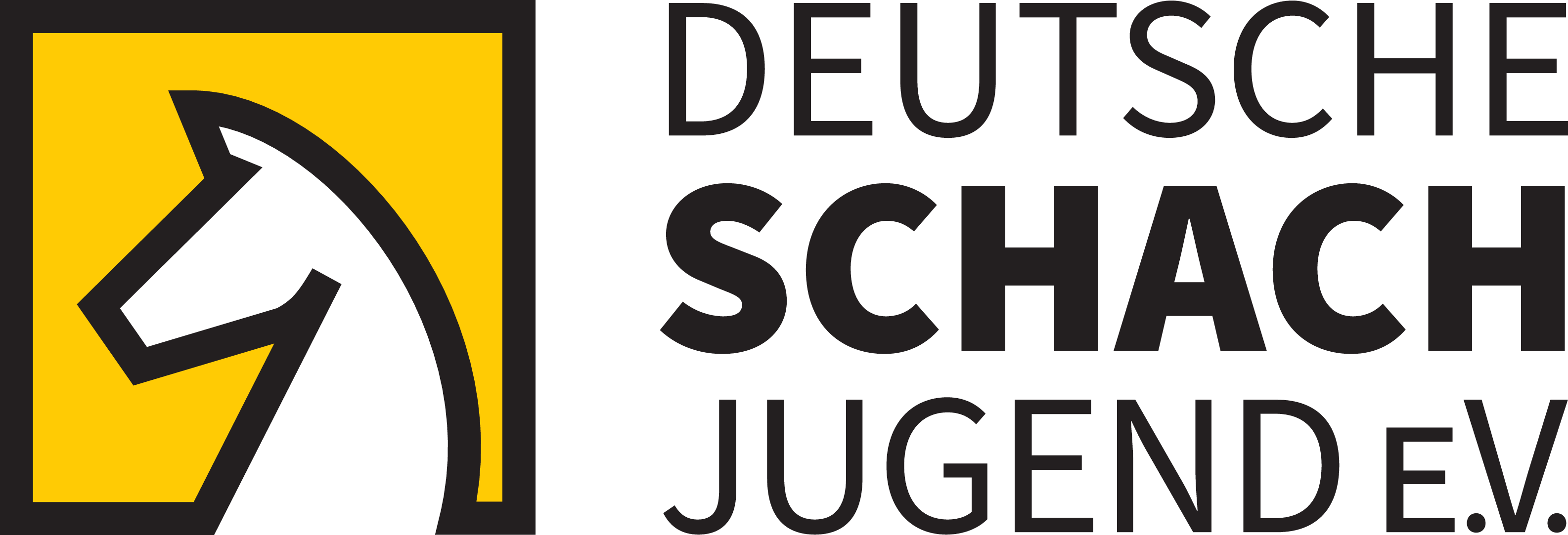 DSJ Logo